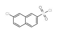 cas no 102153-64-0 is 7-CHLORO-NAPHTHALENE-2-SULFONYL CHLORIDE