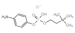 cas no 102185-28-4 is 4-AMINOPHENYLPHOSPHORYLCHOLINE