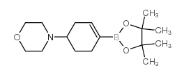 cas no 1046793-56-9 is 4-[4-(4,4,5,5-tetramethyl-1,3,2-dioxaborolan-2-yl)cyclohex-3-en-1-yl]morpholine