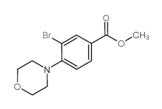 cas no 1131622-56-4 is METHYL 3-BROMO-4-MORPHOLINOBENZOATE