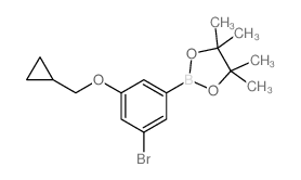 cas no 1218789-49-1 is 2-(3-Bromo-5-(cyclopropylmethoxy)phenyl)-4,4,5,5-tetramethyl-1,3,2-dioxaborolane