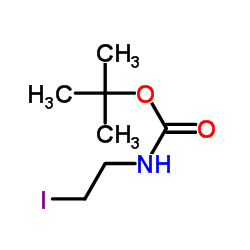 cas no 122234-46-2 is tert-Butyl (2-iodoethyl)carbamate