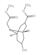 cas no 125483-28-5 is Methyl 3-(methoxycarbonyl)-7-oxo-9-azabicyclo[3.3.1]nonane-9-acetate