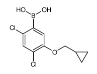 cas no 1256354-91-2 is [2,4-dichloro-5-(cyclopropylmethoxy)phenyl]boronic acid