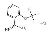 cas no 127979-76-4 is 2-(Trifluoromethoxy)benzamidine hydrochloride