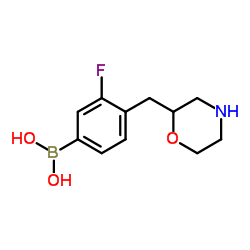 cas no 1333388-00-3 is 3-fluoro-4-(Morpholinomethyl)phenylboronic acid