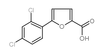 cas no 134448-46-7 is 5-(2 4-DICHLOROPHENYL)-2-FUROIC ACID 9&