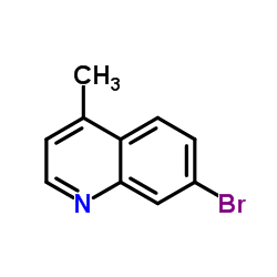 cas no 141052-31-5 is 7-Bromo-4-methylquinoline