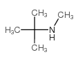 cas no 14610-37-8 is n-methyl-tert-butylamine