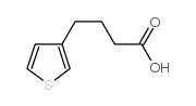 cas no 1505-47-1 is 3-THIOPHENEBUTANOIC ACID