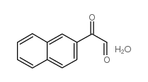 cas no 16208-21-2 is 2-NAPHTHYLGLYOXAL HYDRATE