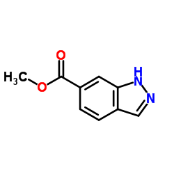 cas no 170487-40-8 is Methyl 1H-indazole-6-carboxylate