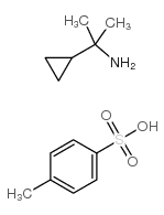 cas no 172947-14-7 is 2-cyclopropyl-2-propylamine p-toluenesulfonate