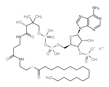 cas no 1763-10-6 is palmitoyl-CoA