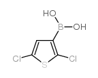 cas no 177735-28-3 is 2,5-Dichlorothiophene-3-boronic acid