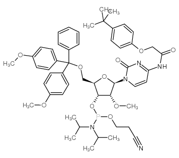 cas no 179486-26-1 is 5'-O-(4,4-Dimethoxytrityl)-N-[[4-(tert-butyl)phenoxy]acetyl]-2'-O-methylcytidine-3'-(2-cyanoethyl-N,N-diisopropyl)phosphoramidite