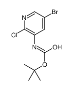 cas no 193888-15-2 is TERT-BUTYL (5-BROMO-2-CHLOROPYRIDIN-3-YL)CARBAMATE