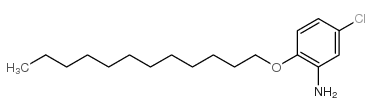 cas no 208345-70-4 is Benzenamine, 5-chloro-2-(dodecyloxy)-