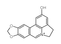 cas no 2121-12-2 is Lycobetaine(Ungeremine)