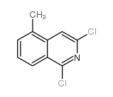 cas no 21902-40-9 is 1,3-dichloro-5-methylisoquinoline