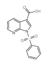 cas no 245064-80-6 is 1-(PHENYLSULFONYL)-1H-PYRROLO[2,3-B]PYRIDINE-3-CARBOXYLIC ACID