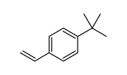 cas no 26009-55-2 is poly(4-t-butyl styrene)