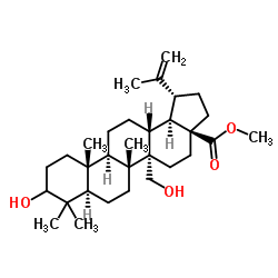 cas no 263844-79-7 is Methyl (3α)-3,27-dihydroxylup-20(29)-en-28-oate