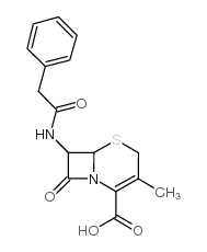 cas no 27255-72-7 is 7-Phenyl-acetamido-deacetoxy-cephalosporanic-acid