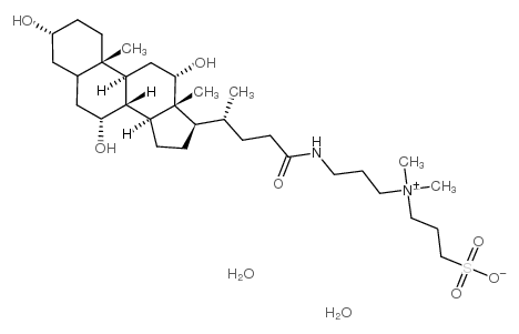 cas no 313223-04-0 is 3-((3-CHOLAMIDOPROPYL)DIMETHYLAMMONIO)-&