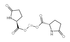 cas no 31377-05-6 is calcium pidolate