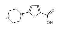 cas no 332345-27-4 is 5-Morpholinothiophene-2-carboxylic acid