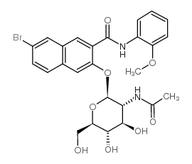 cas no 3395-37-7 is NAPHTHOL AS-BI N-ACETYL-BETA-D-GLUCOSAMINIDE