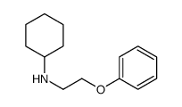 cas no 356532-64-4 is N-(2-Phenoxyethyl)cyclohexanamine