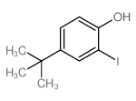 cas no 38941-98-9 is 4-(TERT-BUTYL)-2-IODOPHENOL