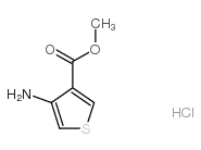 cas no 39978-14-8 is Methyl 4-aminothiophene-3-carboxylate hydrochloride