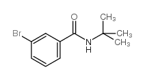 cas no 42498-39-5 is 3-BROMO-N-(TERT-BUTYL)BENZAMIDE