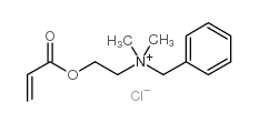 cas no 46917-07-1 is methacryloyl oxyethyl dimethylbenzyl ammonium chloride