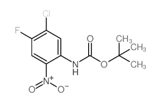 cas no 473547-10-3 is TERT-BUTYL (5-CHLORO-4-FLUORO-2-NITROPHENYL)CARBAMATE