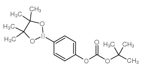 cas no 480438-75-3 is tert-butyl [4-(4,4,5,5-tetramethyl-1,3,2-dioxaborolan-2-yl)phenyl] carbonate