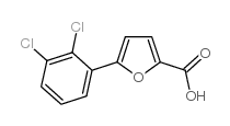 cas no 55462-54-9 is 5-(2,3-DICHLOROPHENYL)-2-FUROIC ACID