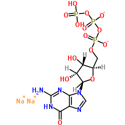 cas no 56001-37-7 is Guanosine-5'-triphosphate disodium salt