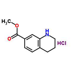 cas no 597562-79-3 is 1,2,3,4-Tetrahydro-Quinoline-7-Carboxylic Acid Methyl Ester Hydrochloride