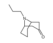 cas no 60206-11-3 is 9-AZABICYCLO[3.3.1]NONAN-3-ONE, 9-PROPYL-