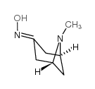 cas no 6164-67-6 is (+/-)-Pseudopelletierine oxime