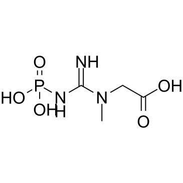 cas no 67-07-2 is Phosphocreatine