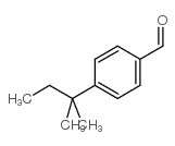 cas no 67468-54-6 is 4-Tert-Amylbenzaldehyde