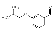 cas no 67698-69-5 is 3-ISOBUTOXYBENZALDEHYDE