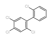 cas no 70362-47-9 is 2,2',4,5-tetrachlorobiphenyl