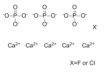 cas no 75535-31-8 is calcium chloride fluoride phosphate