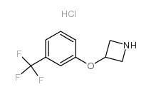 cas no 76263-23-5 is 3-[3-(trifluoromethyl)phenoxy]azetidine